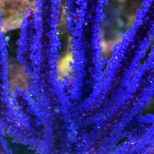 Picture_036