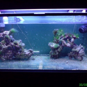 Full_Tank10
