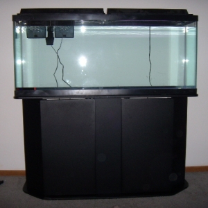 aquarium_durring_setup