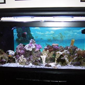 FTS Nov 2007