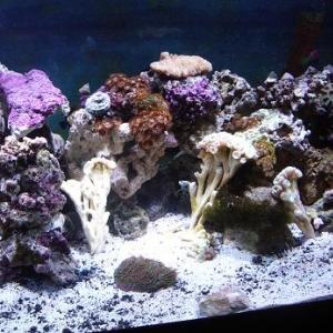 right center nov 2007