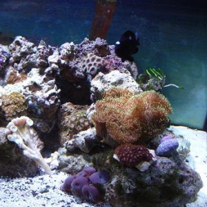 right center nov 2007