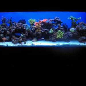Picture_006