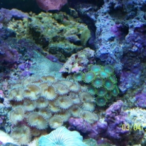 update photos