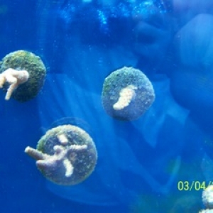 update photos