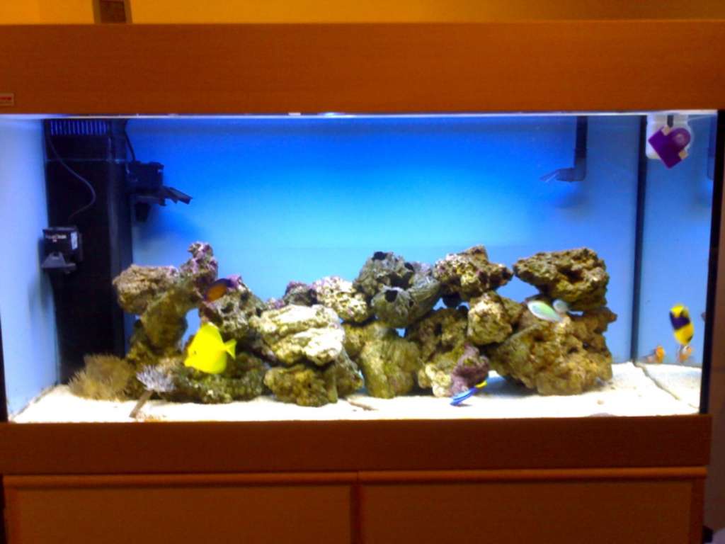 another shot of the tank