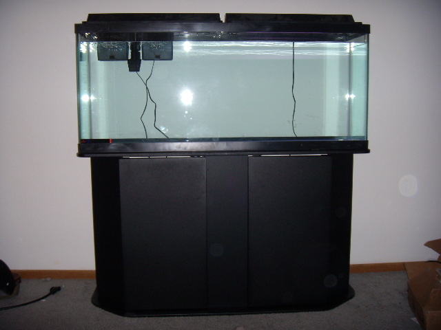 aquarium_durring_setup