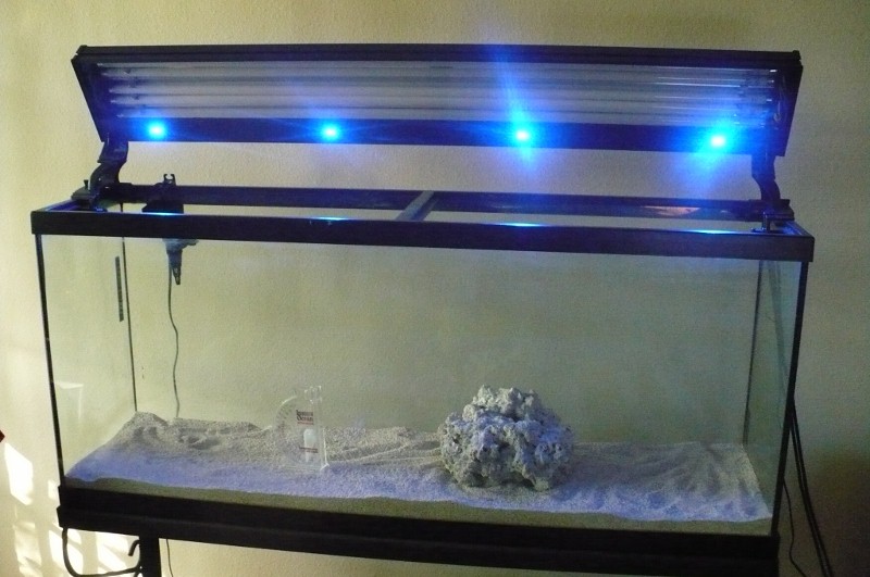 Odyssea T5 with Blue Moon lights 48"
