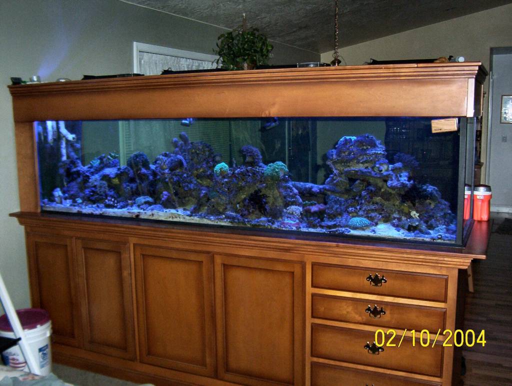 Our little tank room divider